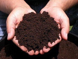 Healthy Soil Compost
