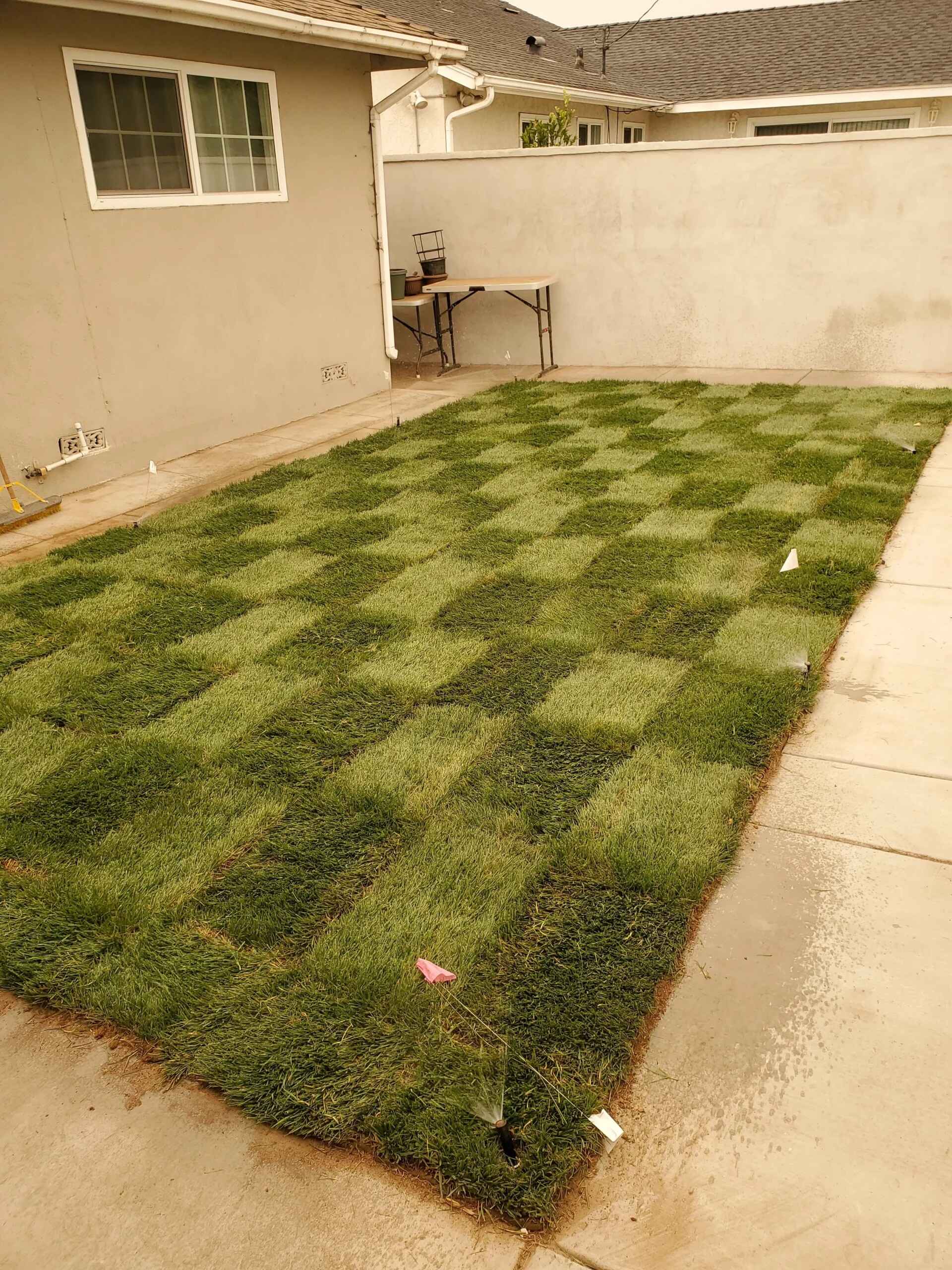 Sod-Installation-After