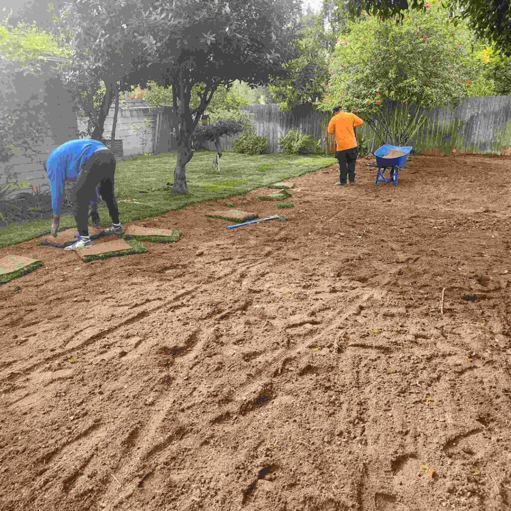 Lawn Installation