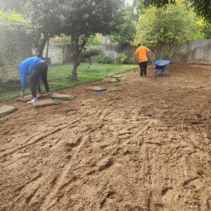 New Lawn Installation