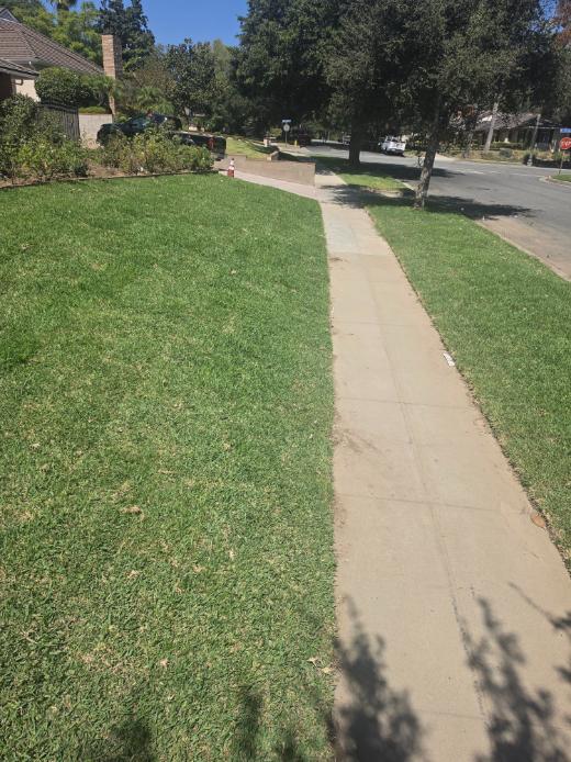 After landscaping