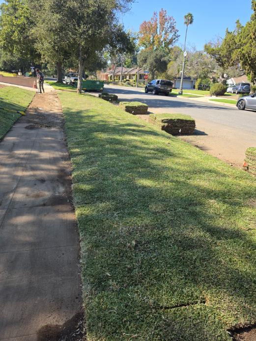 Lanscaping Before work