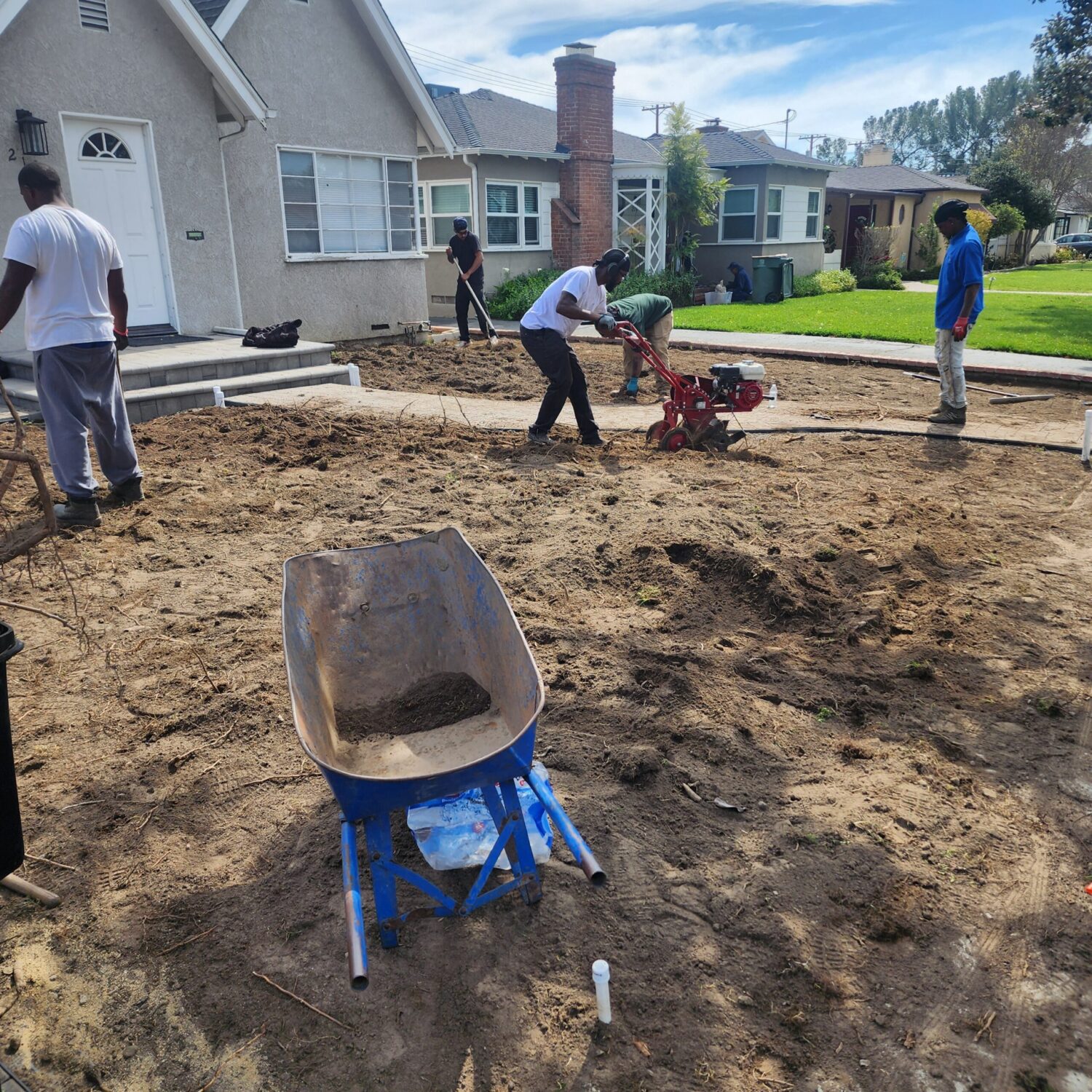 rototilling before sod