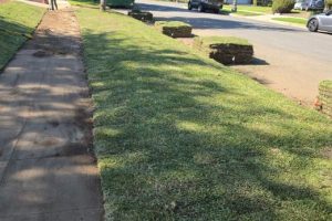 Lanscaping Before work