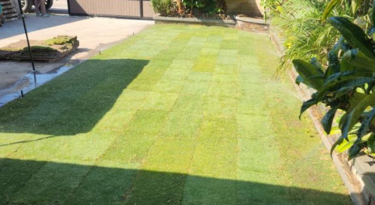 font yard transformation
