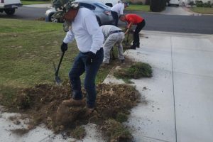 Landscaping work