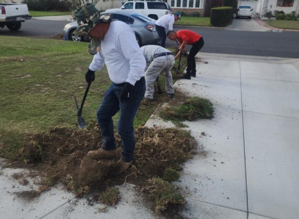 Landscaping work