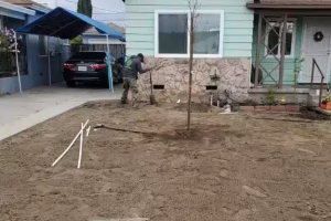 Landscaping-Services-4