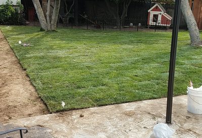 Landscaping- Services
