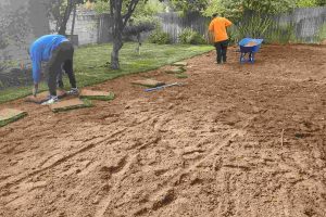 Lawn Installation