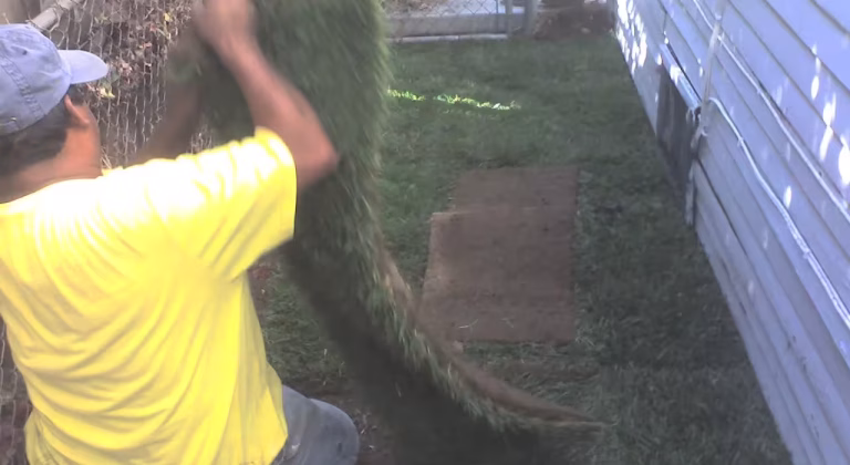 Sod Installation -10