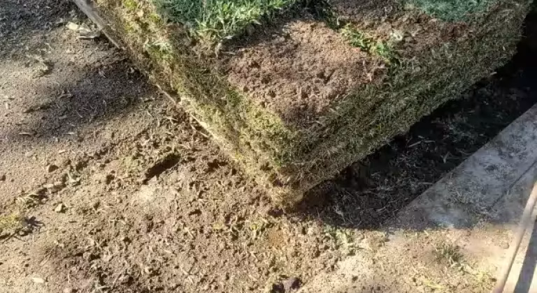 Sod-Installation-2