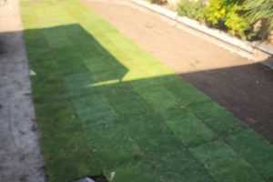 Sod Installation