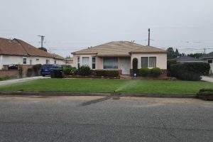Sprinkler Installation