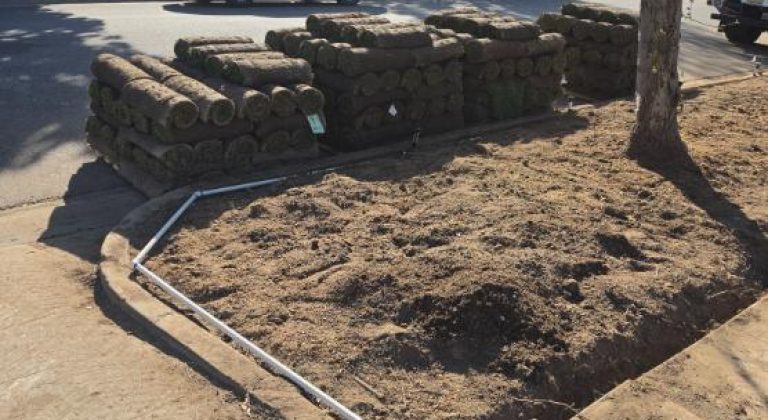 Sprinkler Installation work