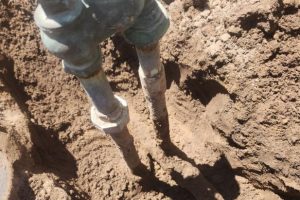 Sprinkler Repair