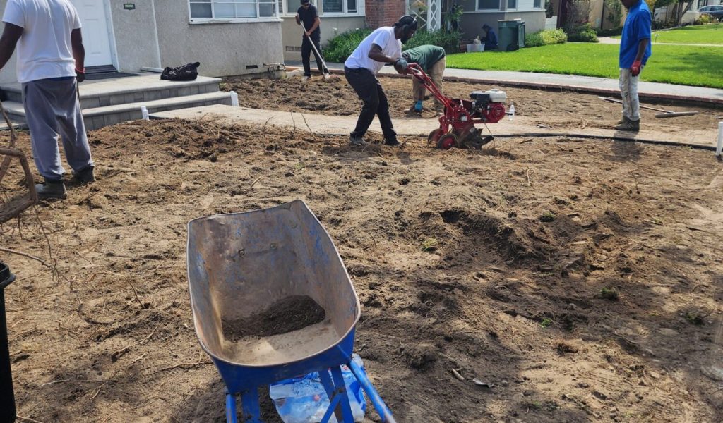 rototilling before sod