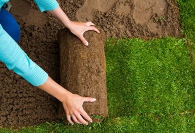 sod installation