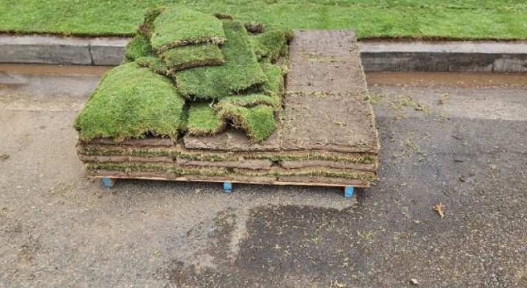 Landscaper installing fresh sod in a Torrance CA residential yard
